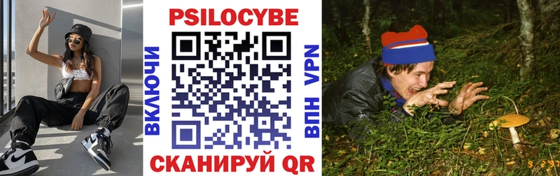 где купить наркотик Элиста Псилоцибиновые грибы GOLDEN TEACHER